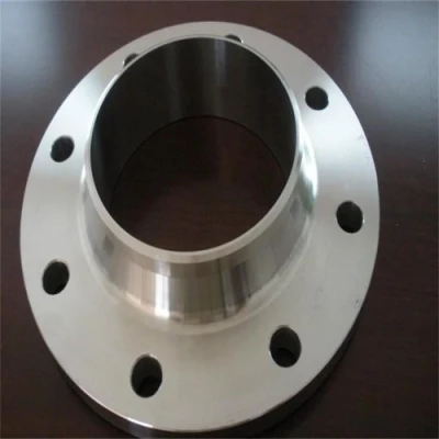 Customized All Kinds of Size Forging Aluminum Alloy Flanges