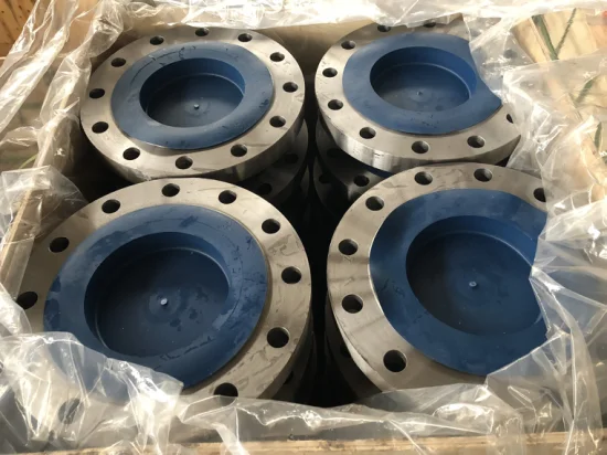 Alloy Steel Forging Tube Pipe Ring Flanges