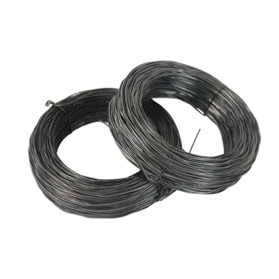 Steel Wire Cold Drawn Steel Bar Supply Rust-Proof Cold-Drawn Steel Wire Electro Galvanized Wire Stainless Steel Wire Rope